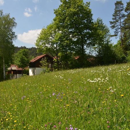 Ferienwohnung Wildgatter Grafenwiesen Exterior foto