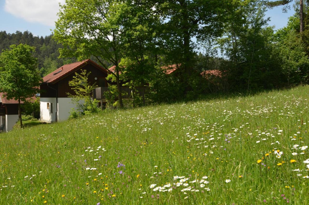 Ferienwohnung Wildgatter Grafenwiesen Exterior foto